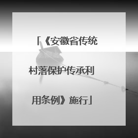 《安徽省传统村落保护传承利用条例》施行
