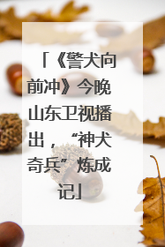 《警犬向前冲》今晚山东卫视播出，“神犬奇兵”炼成记