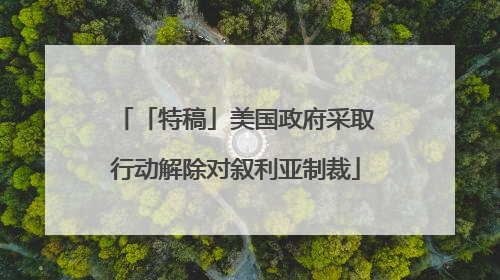 「特稿」美国政府采取行动解除对叙利亚制裁