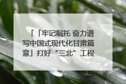 「牢记嘱托 奋力谱写中国式现代化甘肃篇章」打好“三北”工程攻坚战 筑牢国家西部生态安全屏障