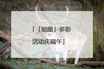 「组图」多彩活动庆端午