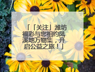 「关注」潍坊福彩与您相约凤溪地万物集，开启公益之旅！