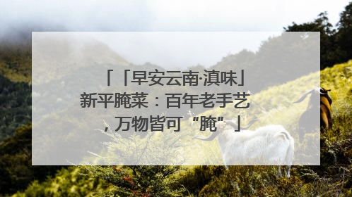 「早安云南·滇味」新平腌菜：百年老手艺，万物皆可“腌”