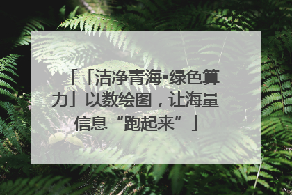 「洁净青海•绿色算力」以数绘图，让海量信息“跑起来”