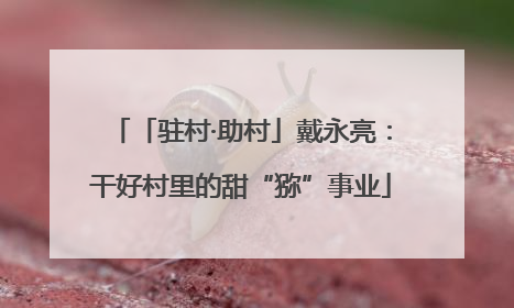 「驻村·助村」戴永亮：干好村里的甜“猕”事业