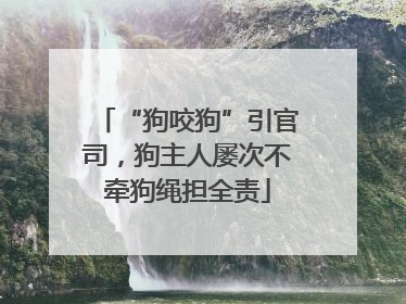 “狗咬狗”引官司，狗主人屡次不牵狗绳担全责
