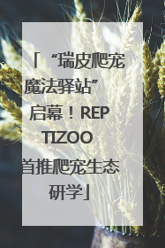 “瑞皮爬宠魔法驿站” 启幕！REPTIZOO 首推爬宠生态研学