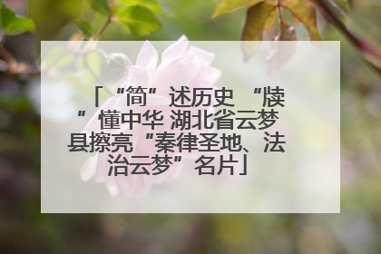 “简”述历史 “牍”懂中华 湖北省云梦县擦亮“秦律圣地、法治云梦”名片