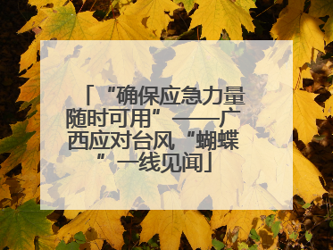 “确保应急力量随时可用”——广西应对台风“蝴蝶”一线见闻