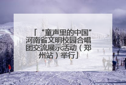 “童声里的中国”河南省文明校园合唱团交流展示活动（郑州站）举行