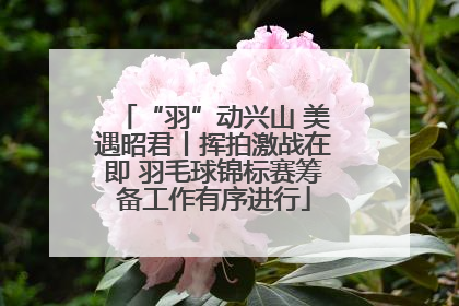 “羽”动兴山 美遇昭君丨挥拍激战在即 羽毛球锦标赛筹备工作有序进行