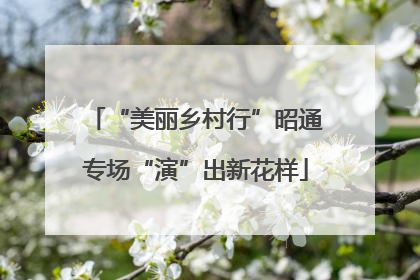 “美丽乡村行”昭通专场“演”出新花样