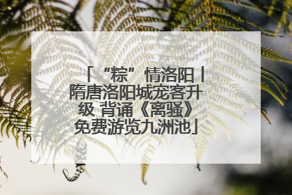 “粽”情洛阳丨隋唐洛阳城宠客升级 背诵《离骚》免费游览九洲池