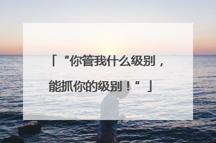 “你管我什么级别，能抓你的级别！”