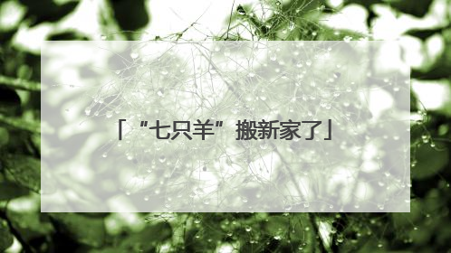 “七只羊”搬新家了