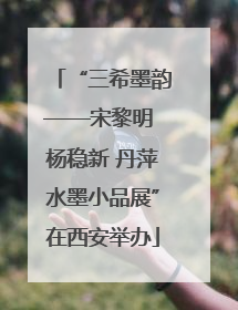 “三希墨韵——宋黎明 杨稳新 丹萍水墨小品展”在西安举办