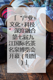 “产业+文化+科技”深度融合 第七届九江国际名茶名泉博览会开幕（组图）