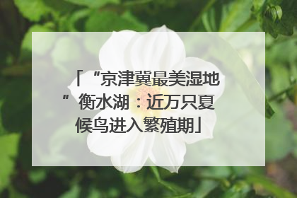 “京津冀最美湿地”衡水湖：近万只夏候鸟进入繁殖期