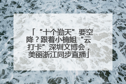 “十个勤天”要空降？跟着小楠姐“云打卡”深圳文博会，美丽浙江同步直播