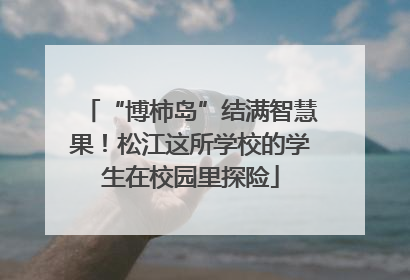 “博柿岛”结满智慧果！松江这所学校的学生在校园里探险