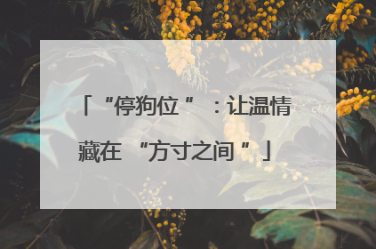 “停狗位 ”：让温情藏在 “方寸之间 ”