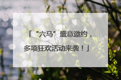 “六马”盛意邀约，多项狂欢活动来袭！