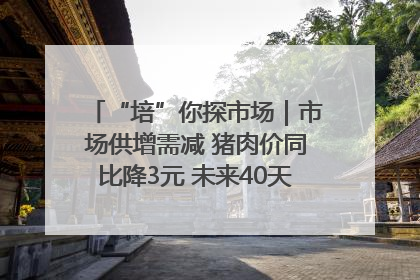 “培”你探市场｜市场供增需减 猪肉价同比降3元 未来40天便宜猪肉敞开吃