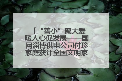 “善小”聚大爱 暖人心促发展——国网淄博供电公司付珍家庭获评全国文明家庭背后的文明密码