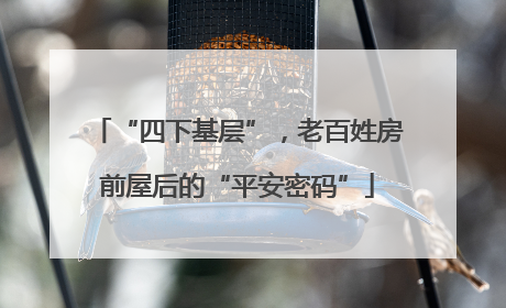 “四下基层”，老百姓房前屋后的“平安密码”
