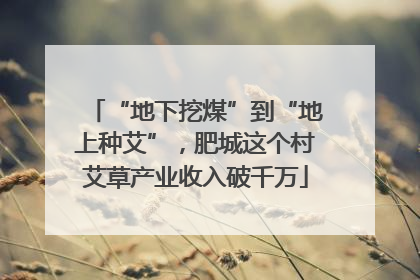 “地下挖煤”到“地上种艾”，肥城这个村艾草产业收入破千万