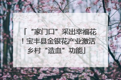 “家门口”采出幸福花！宝丰县金银花产业激活乡村“造血”功能