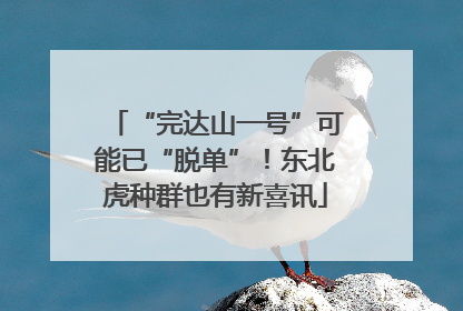 “完达山一号”可能已“脱单”！东北虎种群也有新喜讯
