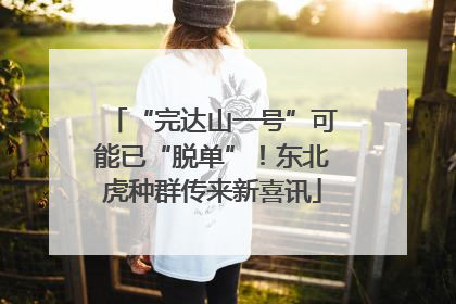 “完达山一号”可能已“脱单”！东北虎种群传来新喜讯