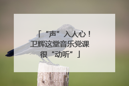 “声”入人心！卫辉这堂音乐党课很“动听”