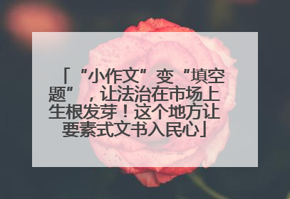 “小作文”变“填空题”，让法治在市场上生根发芽！这个地方让要素式文书入民心