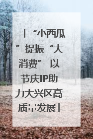 “小西瓜”提振“大消费” 以节庆IP助力大兴区高质量发展