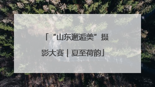 “山东邂逅美”摄影大赛｜夏至荷韵