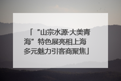 “山宗水源·大美青海”特色展亮相上海 多元魅力引客商聚焦