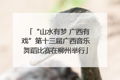 “山水有梦 广西有戏”第十三届广西音乐舞蹈比赛在柳州举行