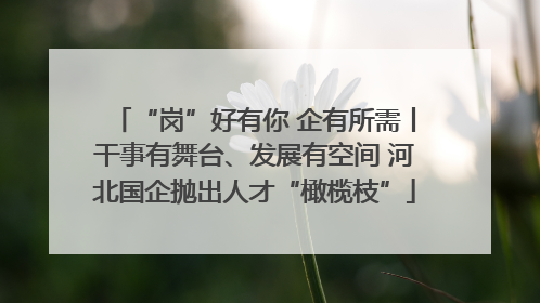 “岗”好有你 企有所需丨干事有舞台、发展有空间 河北国企抛出人才“橄榄枝”