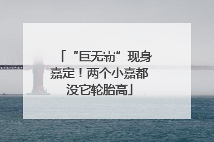 “巨无霸”现身嘉定！两个小嘉都没它轮胎高