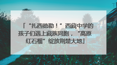 “扎西德勒！”西藏中学的孩子们遇上藏族同胞，“高原红石榴”绽放荆楚大地