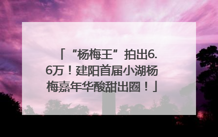 “杨梅王”拍出6.6万！建阳首届小湖杨梅嘉年华酸甜出圈！