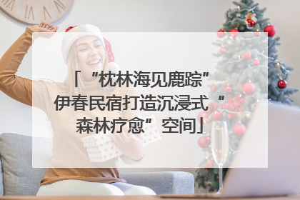 “枕林海见鹿踪” 伊春民宿打造沉浸式“森林疗愈”空间