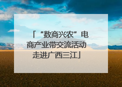 “数商兴农”电商产业带交流活动走进广西三江