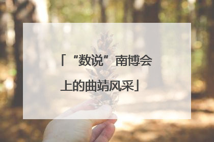 “数说”南博会上的曲靖风采