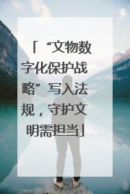 “文物数字化保护战略”写入法规，守护文明需担当