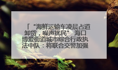 “海鲜运输车凌晨占道卸货，噪声扰民” 海口博爱街道城市综合行政执法中队：将联合交警加强长堤路一带巡逻