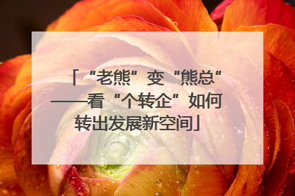 “老熊”变“熊总”——看“个转企”如何转出发展新空间