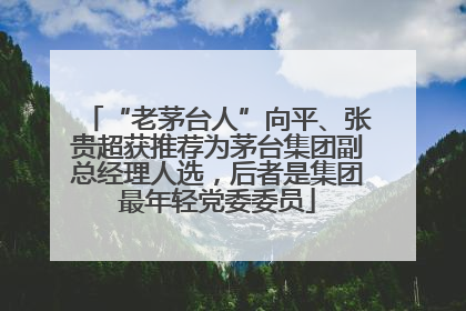 “老茅台人”向平、张贵超获推荐为茅台集团副总经理人选，后者是集团最年轻党委委员